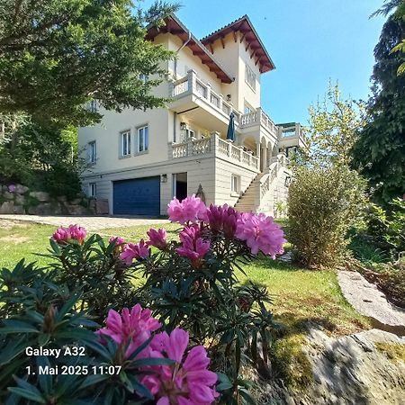 Ferienwohnung Dennstedt Wilkau-Hasslau المظهر الخارجي الصورة