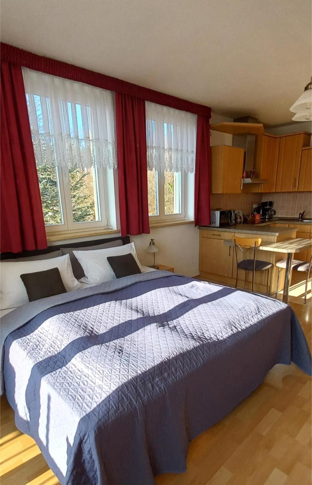 Ferienwohnung Dennstedt Wilkau-Hasslau المظهر الخارجي الصورة